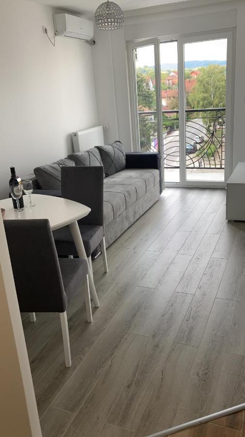 Appartamento Apartman Katarina Banja Koviljača Esterno foto